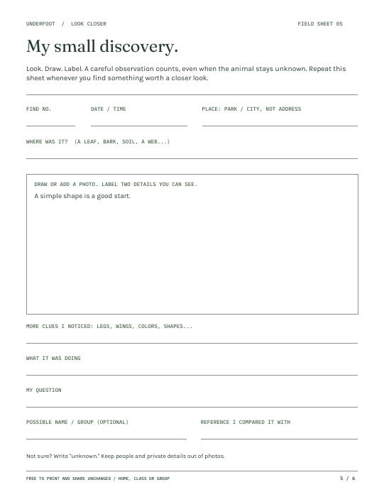 Page 5: a reusable field-note sheet with a large sketch area and prompts for what you noticed, what the animal did and your questions.